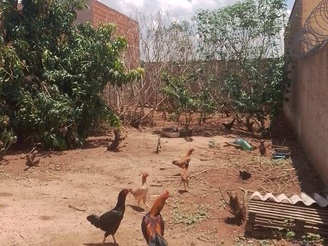#84 - Terrenos para Venda em Limeira - SP