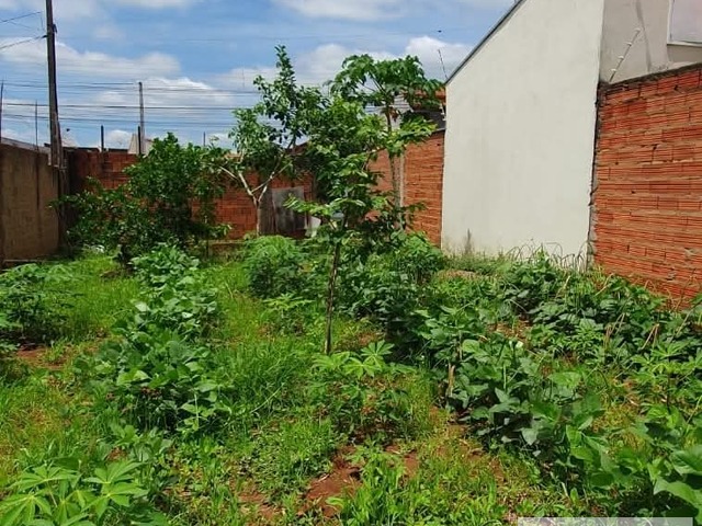 Terrenos para Venda em Limeira - 4
